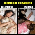 No es tan lindo dormir con tu mascota