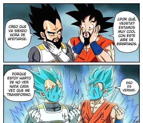 Porque Vegeta y Goku no se dejan la barba