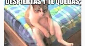 Todos los días todos nosotros