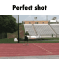 El tiro perfecto