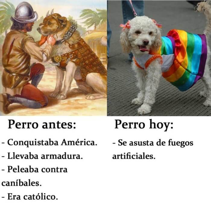 Perros de antes vs perros actuales