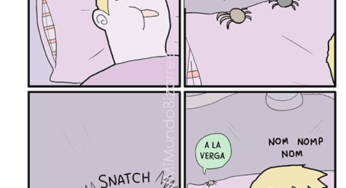 Los humanos comen arañas cuando duermen
