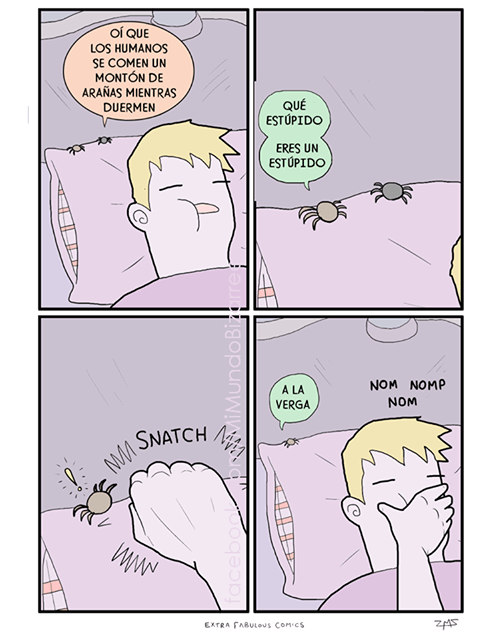 Los humanos comen arañas cuando duermen