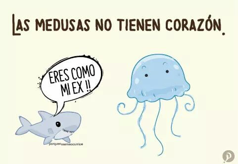 Las medusas no tienen corazon