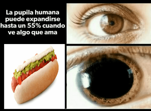 La pupila humana