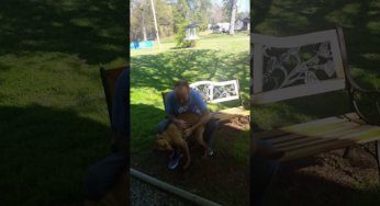 El reencuentro con su dueño tras años separados