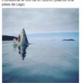 Un tiburon pisando un lego