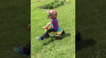 El perro vs la niña