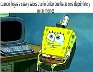 Cuando llegas a casa