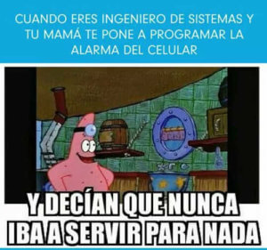Ingeniero de sistemas