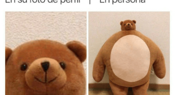 En persona nunca son iguales a su perfil