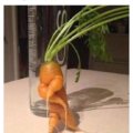 Esta zanahoria tiene mas estilo