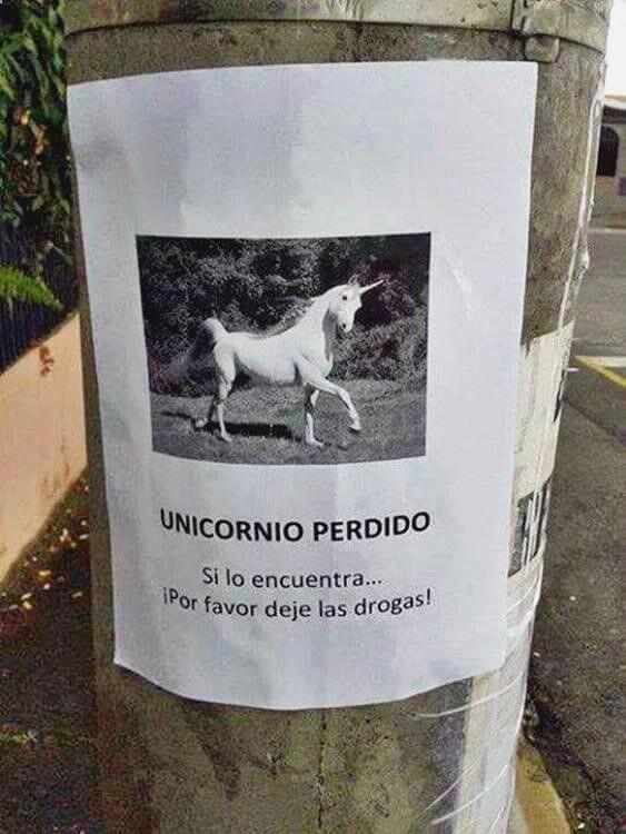 Unicornio perdido
