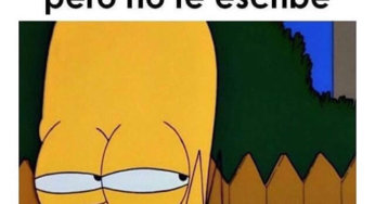 Cuando esta en línea pero no escribe