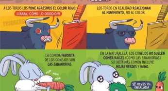 Creencias erróneas de animales