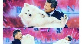 Cuando vas a la casa de alguien con un perro