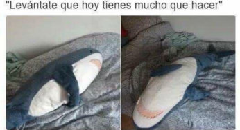 Levántate tienes mucho que hacer