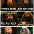Señales de que eres Hagrid