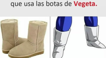 Todos tenemos una amiga con botas de vegeta