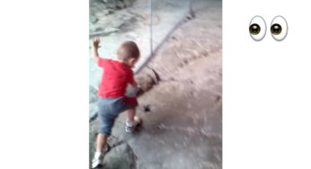 Corriendo directamente al cristal