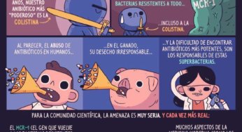 Apocalipsis antibiótico