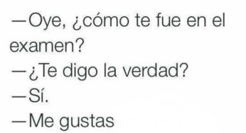 Como te fue en el examen