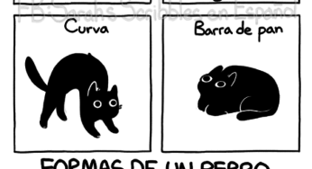 Formas de un gato vs formas de un perro