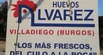 Los más frescos