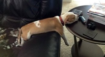 Durmiendo de manera extraña