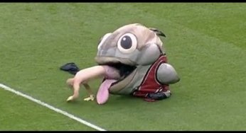 Las mejores mascotas de la MLB