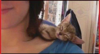 Lugares extraños para dormir