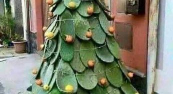 Este año sí que no me roban el árbol