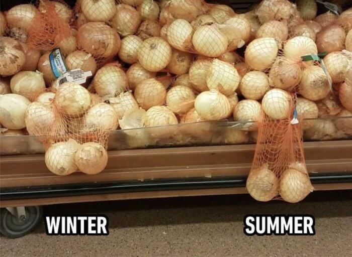 Invierno vs verano