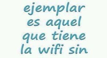 Un vecino ejemplar