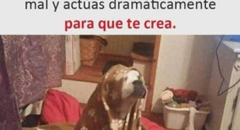 Cuando finges estar enfermo