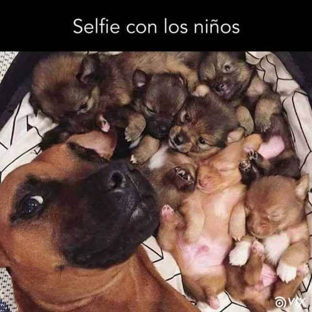 Selfie con los niños
