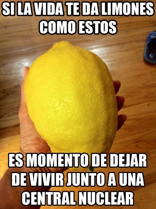 Si la vida te da estos limones