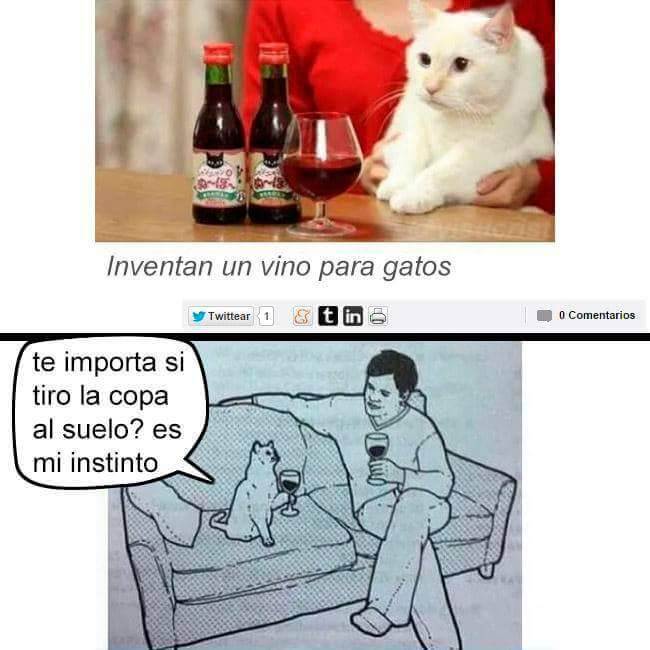 Inventan un gato para los vinos