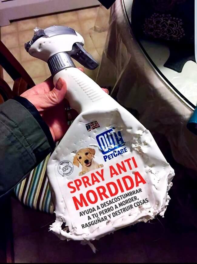 Spray anti mordida