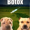 Cosas del Botox