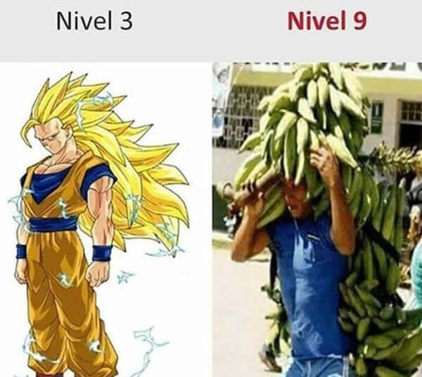 Nivel 3 vs nivel 9