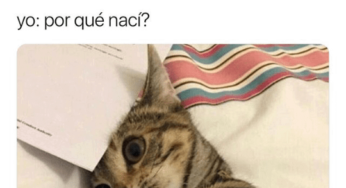 Cuando decido ponerme a estudiar