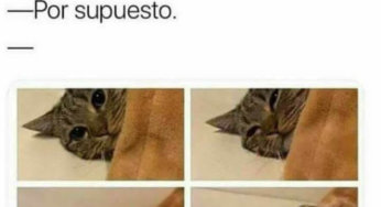 Cuando lo invitas a ver una película