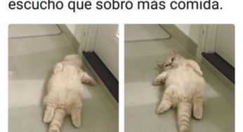 Cuando termino de comer