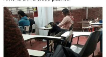 Por esto amamos la universidad pública