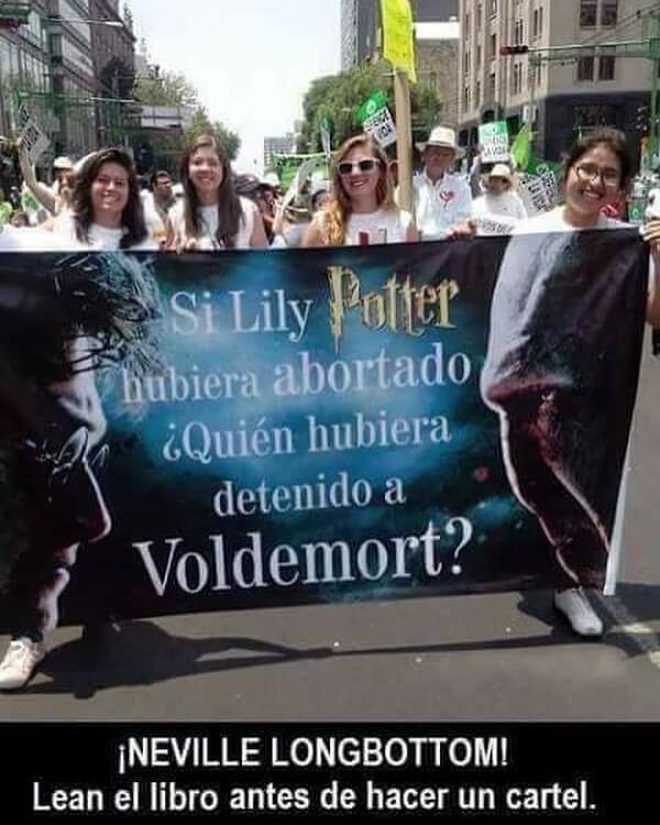 Si Lily Potter hubiera abortado Quien detenia a Voldemort