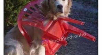 Siempre conservo la calma en momentos difíciles