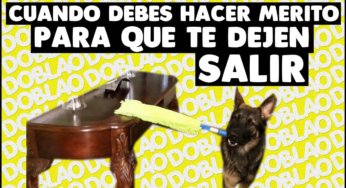 Cuando debes hacer mérito para que te dejen salir