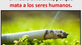 Fumar es bueno para el medio ambiente