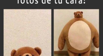 Porque solo tomas fotos de tu cara